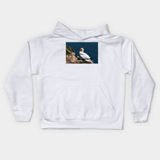 Gannet on a cliff at Bempton cliffs Kids Hoodie